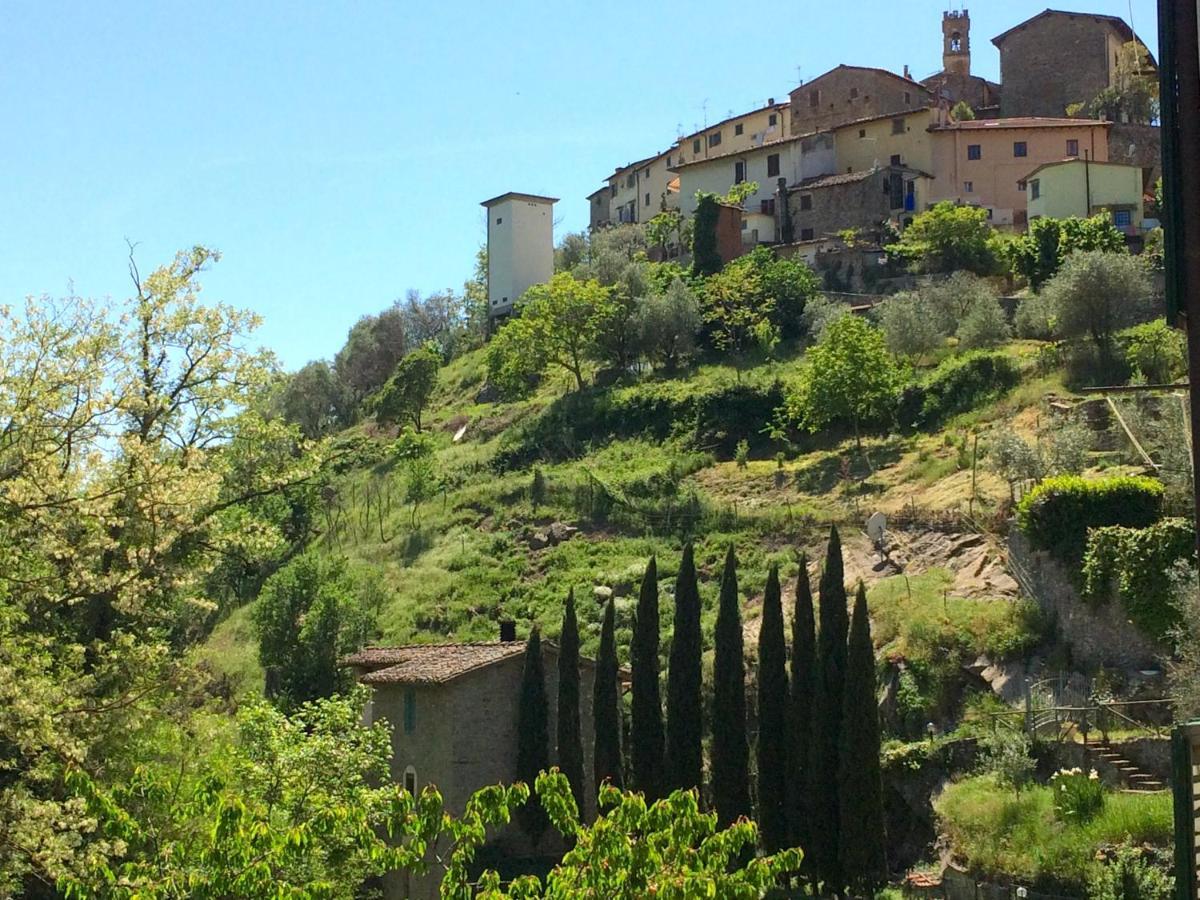 Ex-Mulino Pontevecchio Panzió Pelago Kültér fotó